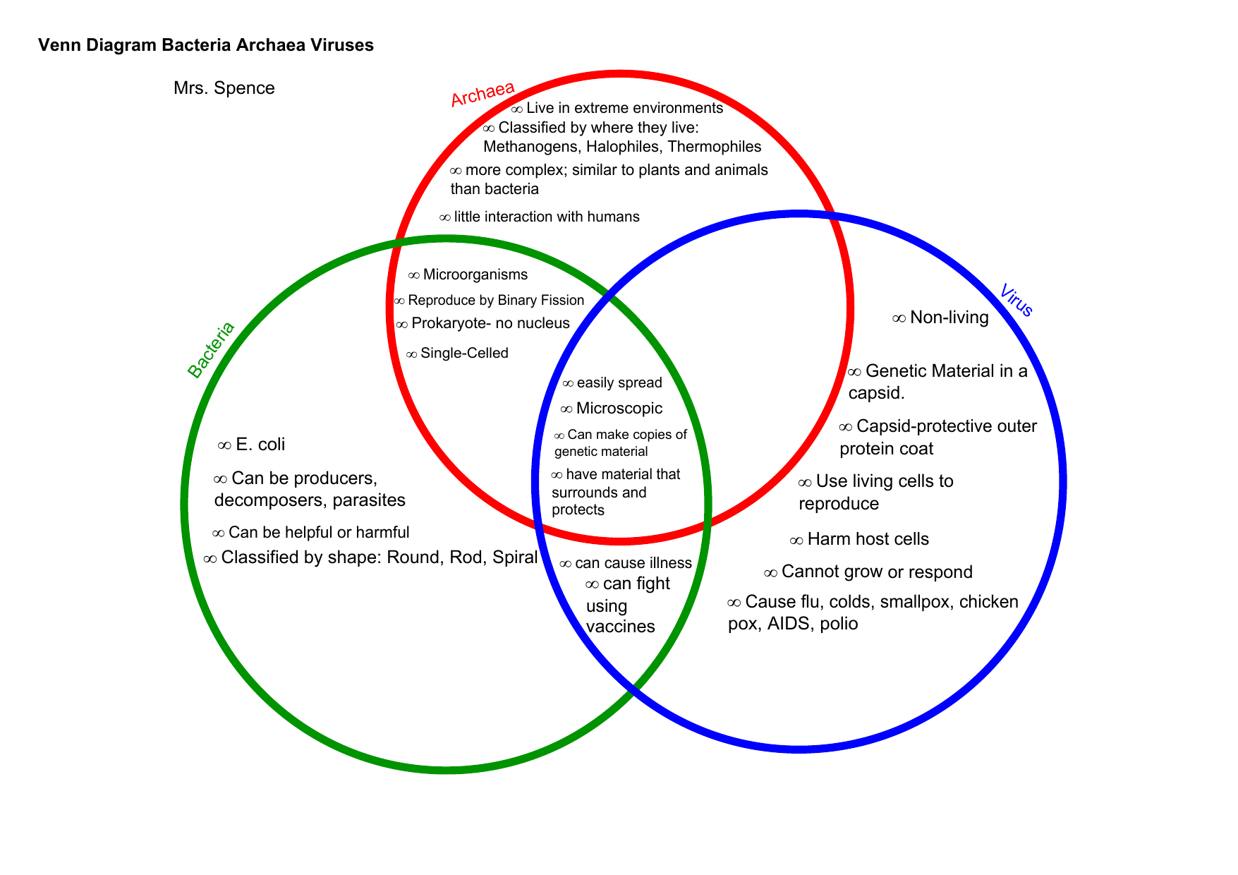 Virus Vs Bacteria Venn Diagram Wiring Database 39928 Hot Sex Picture