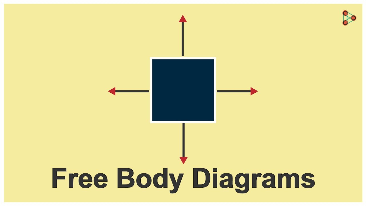 Free Body Diagrams Physics Force Free Body Diagrams