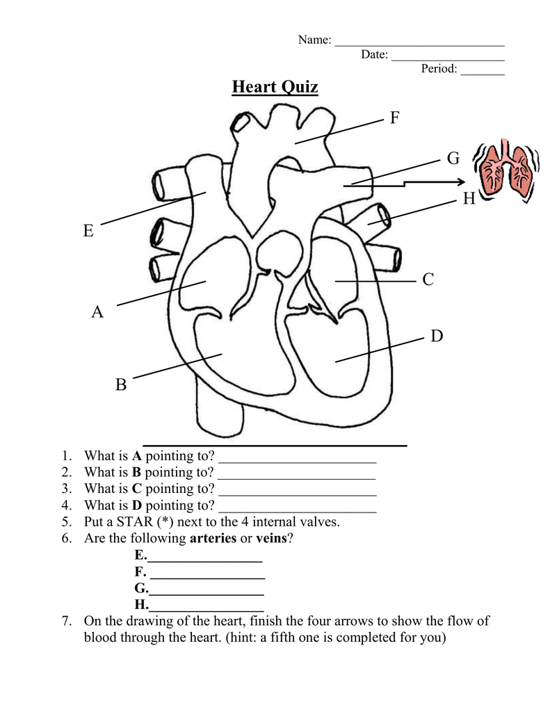 Heart Diagram Quiz Exatin info