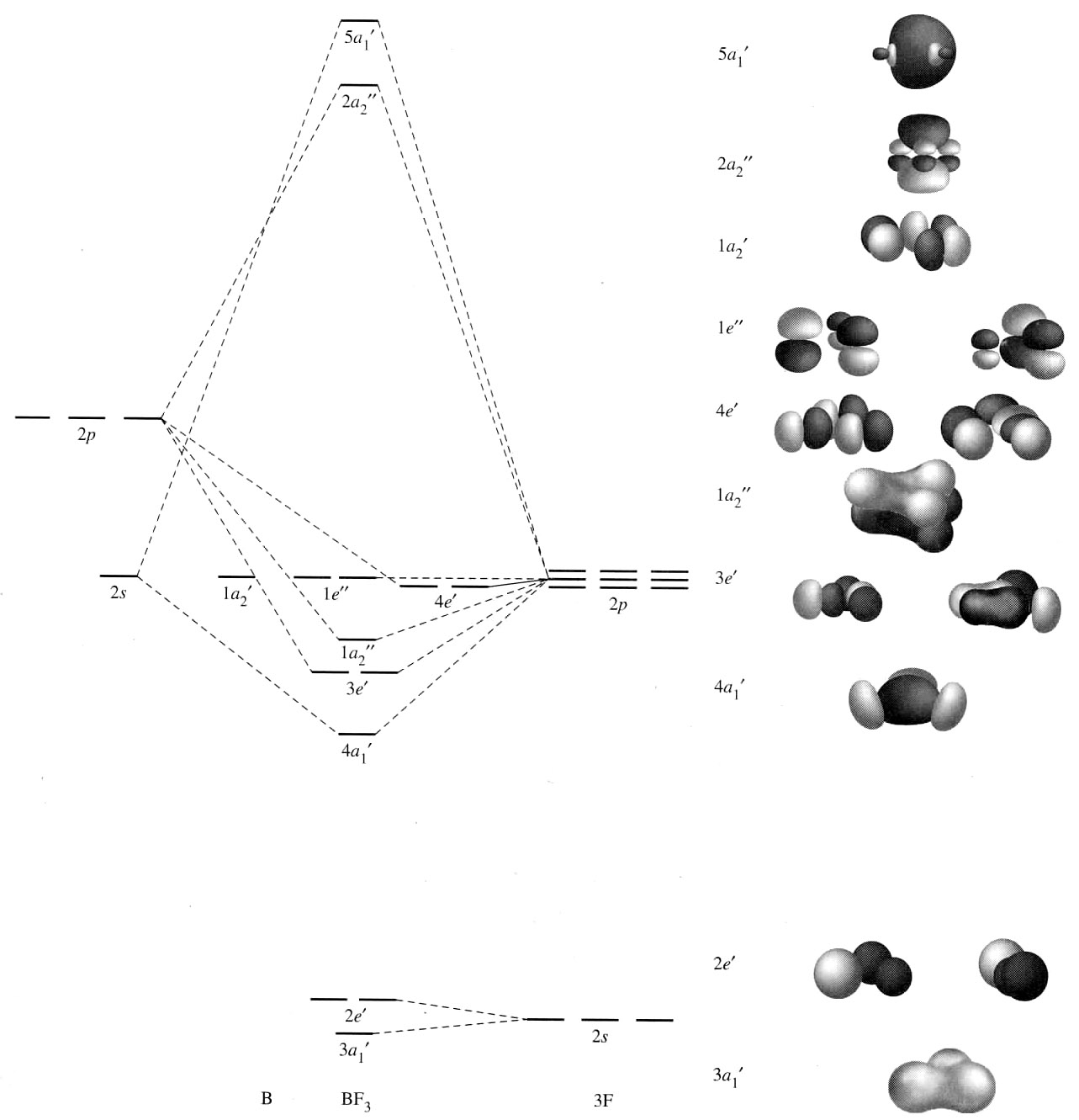 How To Do Orbital Diagrams Molecular Orbital Diagram For Bf3 Chemistry Stack Exchange