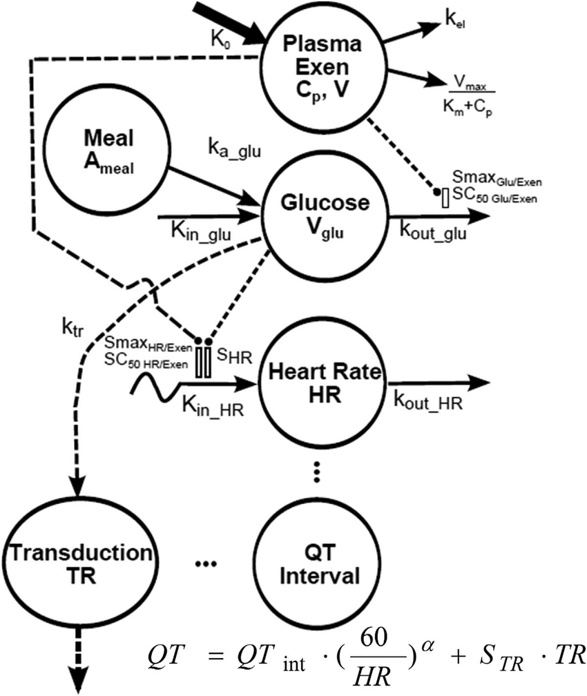 Hr Diagram Definition Pharmacokinetic And Pharmacodynamic Model Diagram Symbols And Model