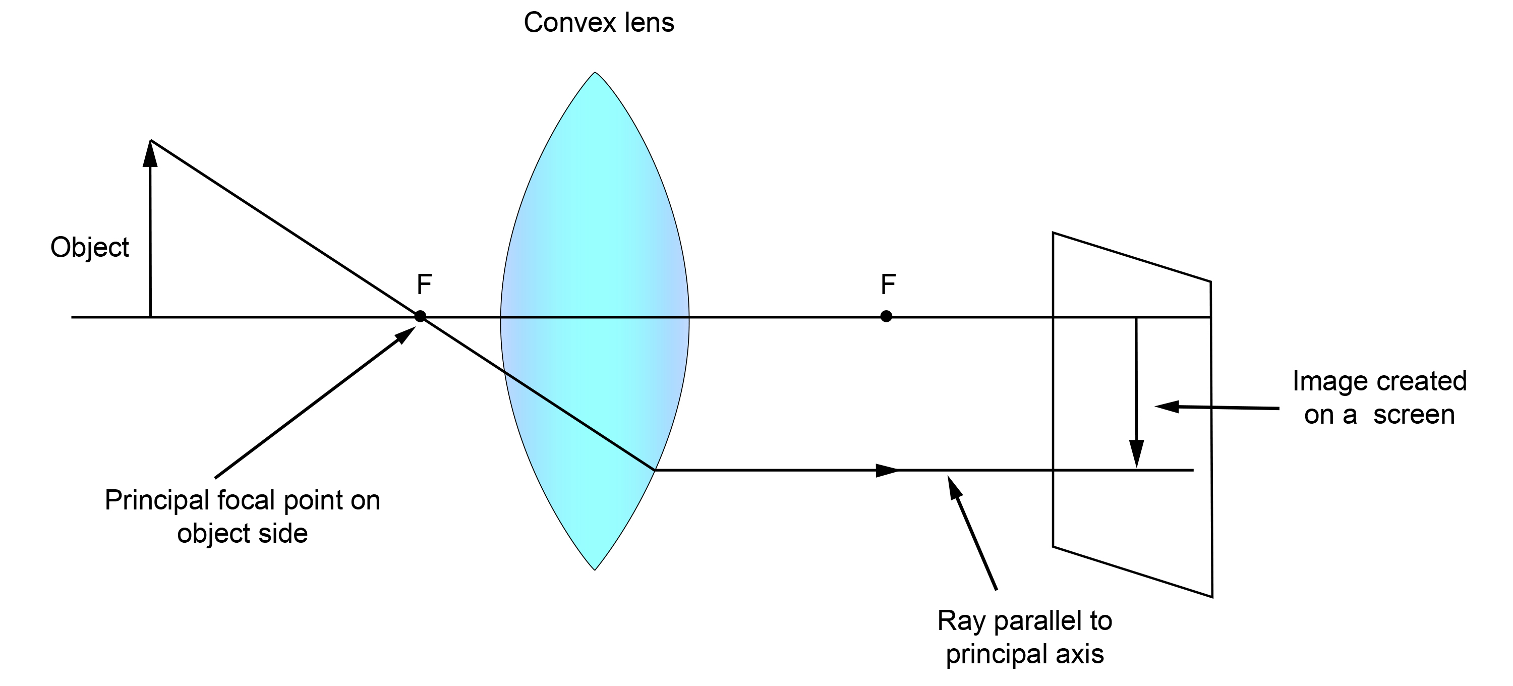 Lens Ray Diagrams Method For Drawing Ray Diagrams Convex Lens