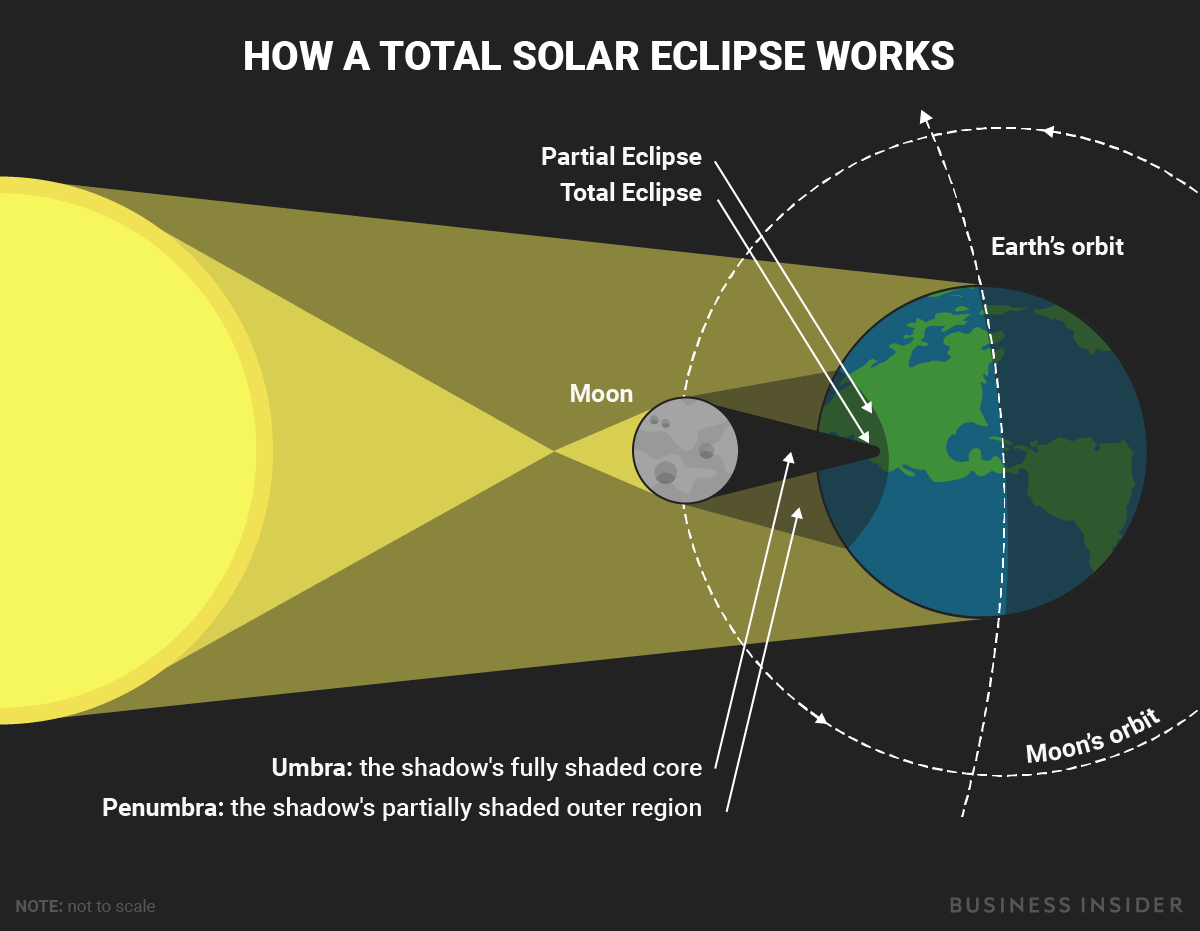 Solar Eclipse Diagram This Diagram Shows What Happens During A Total Solar Eclipse