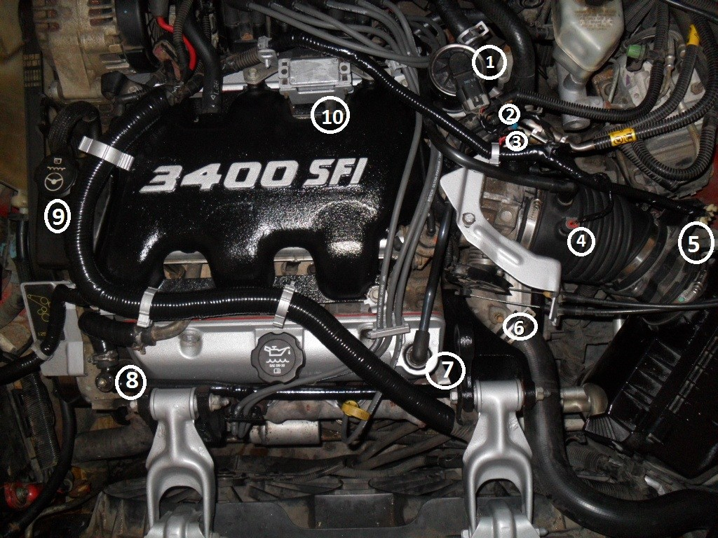 3400 Sfi Engine Diagram Wrg 4274 Gm 3400 Sfi Engine Diagram