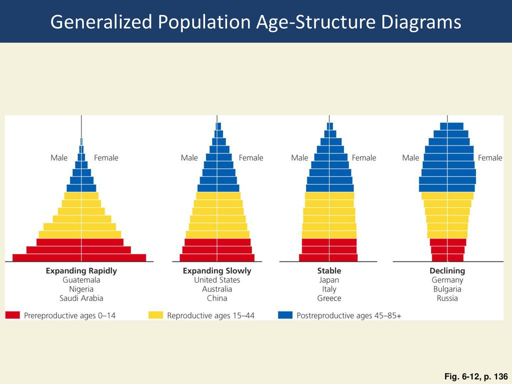 Age Structure Diagram 6 3 How Does A Populations Age Structure Affect Its Growth Or