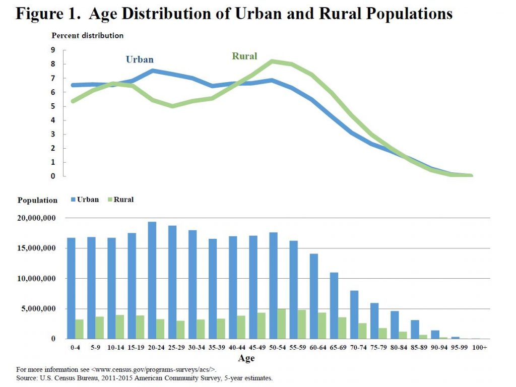 Age Structure Diagram A Glance At The Age Structure And Labor Force Participation Of Rural