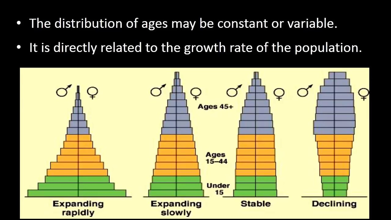 Age Structure Diagram Age Structure Of Population Ecology