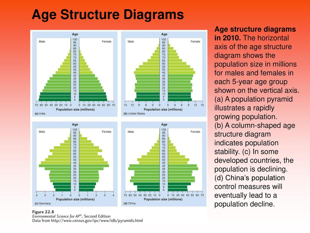 Age Structure Diagram Chapter 7 The Human Population Ppt Download