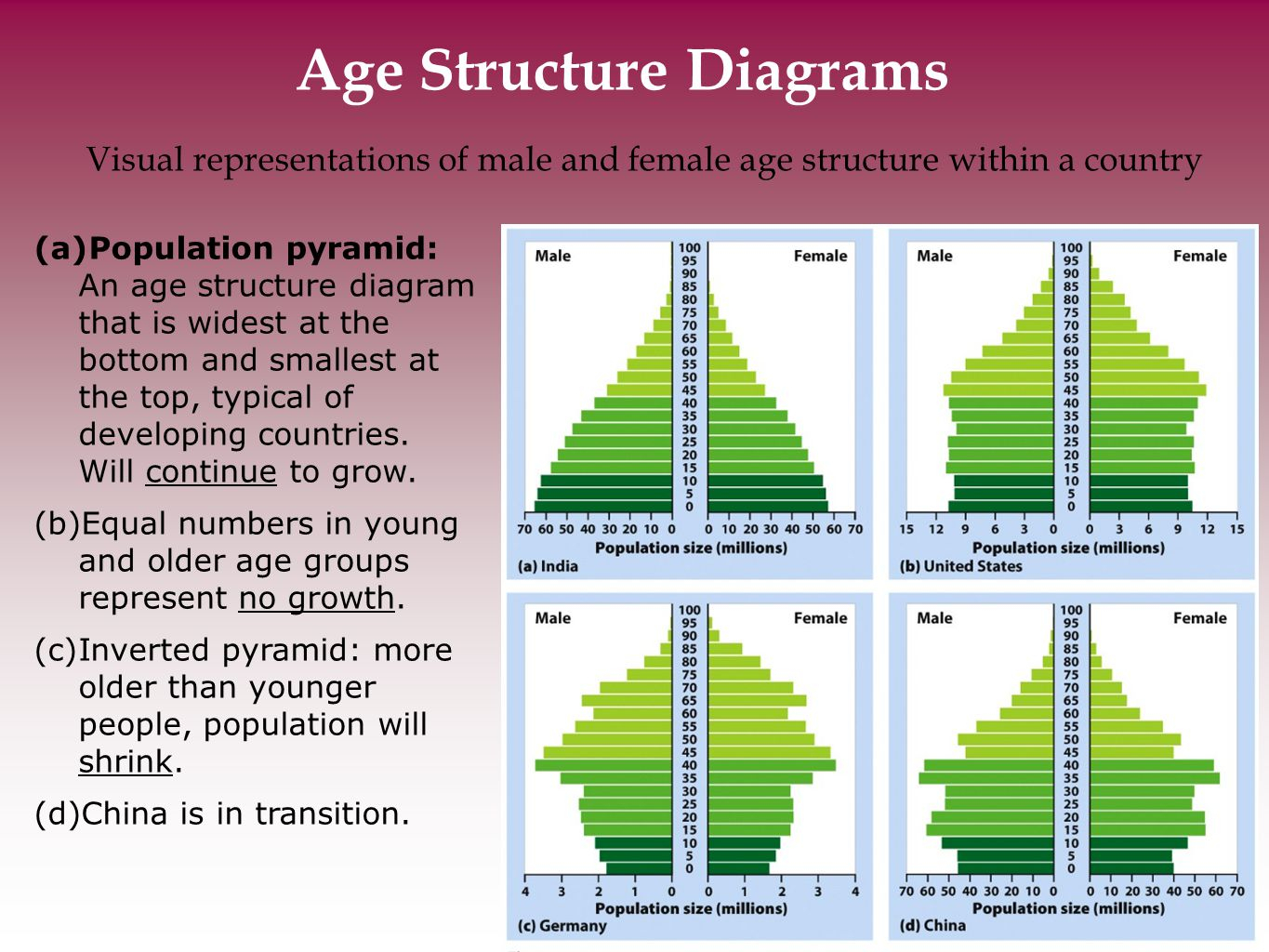 Age Structure Diagram Chapter 7 The Human Population Ppt Video Online Download