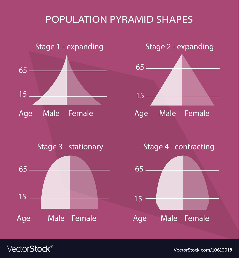 Age Structure Diagram Four Different Types Of Population Pyramids Charts