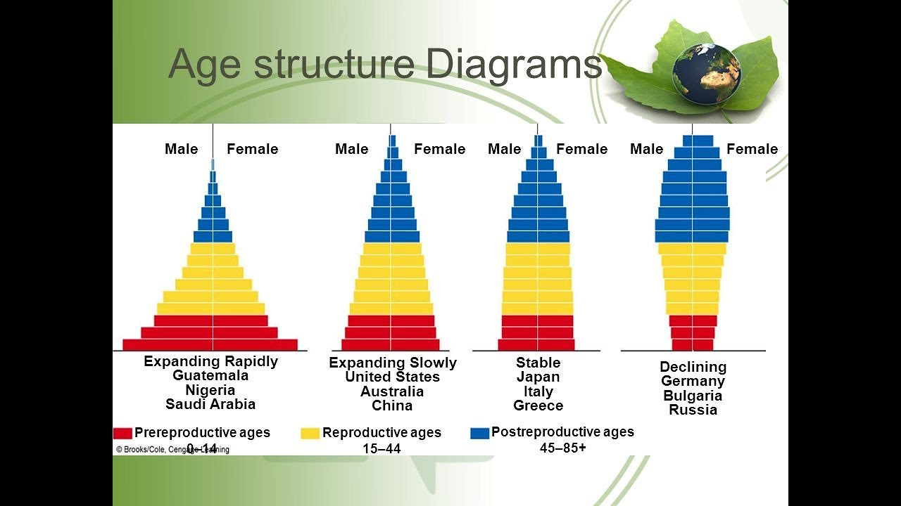 Age Structure Diagram Population Age Structure And Population Pyramid