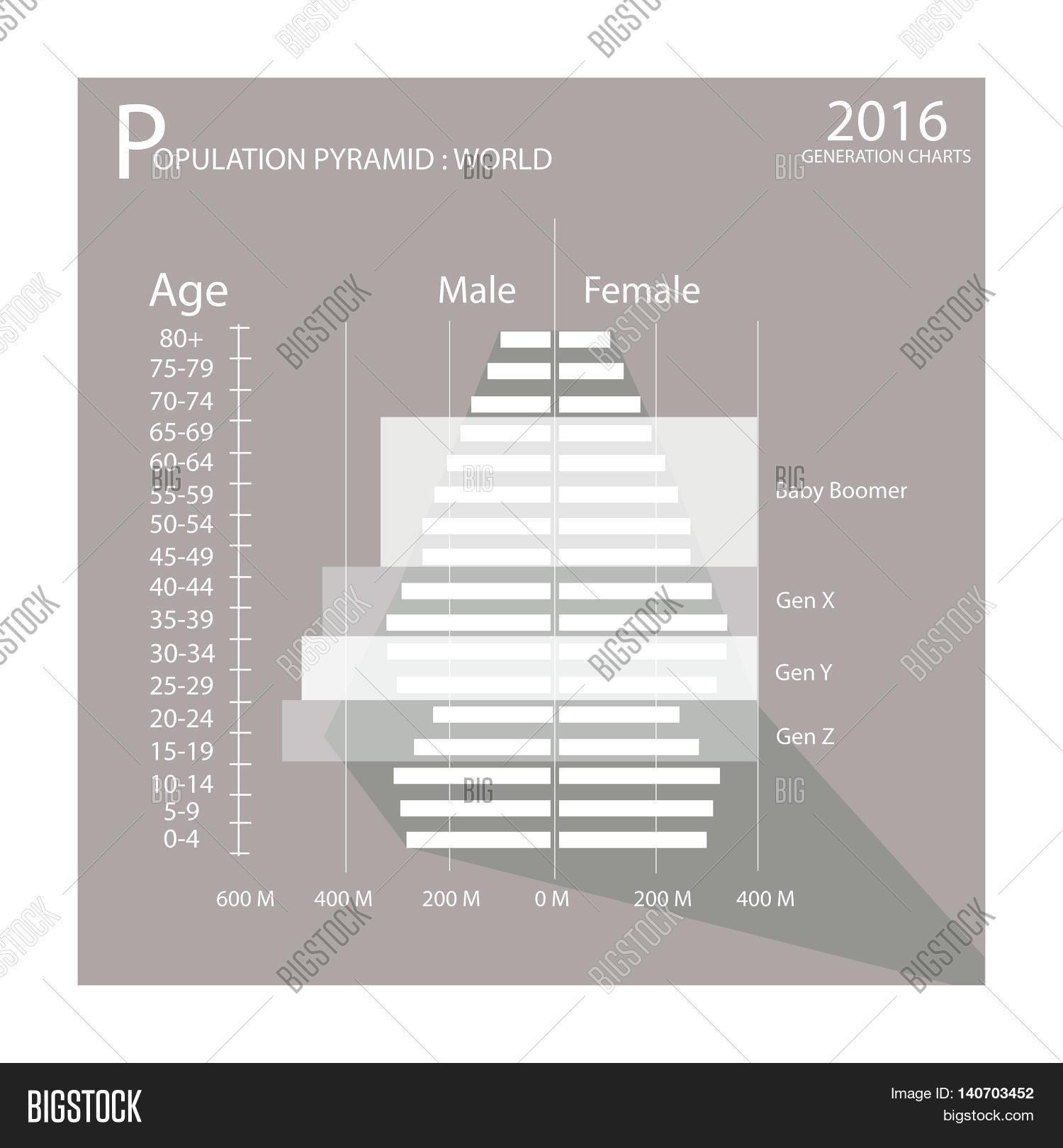 Age Structure Diagram Population Demography Vector Photo Free Trial Bigstock