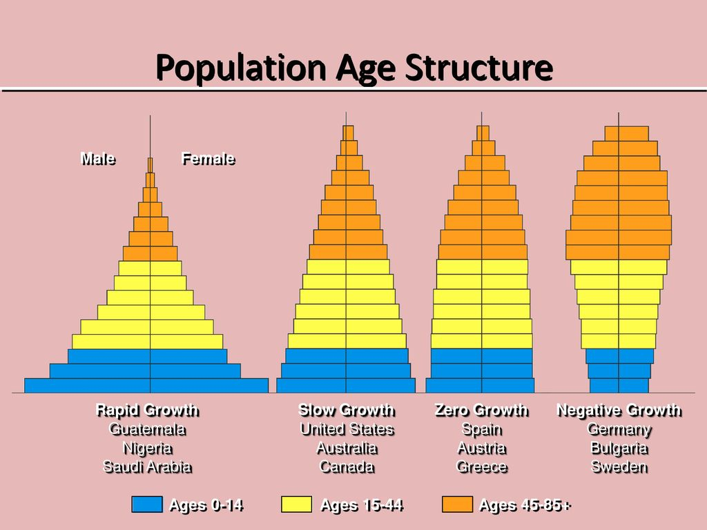 Age Structure Diagram The Demographic Transition Model And Age Structure Diagrams Ppt
