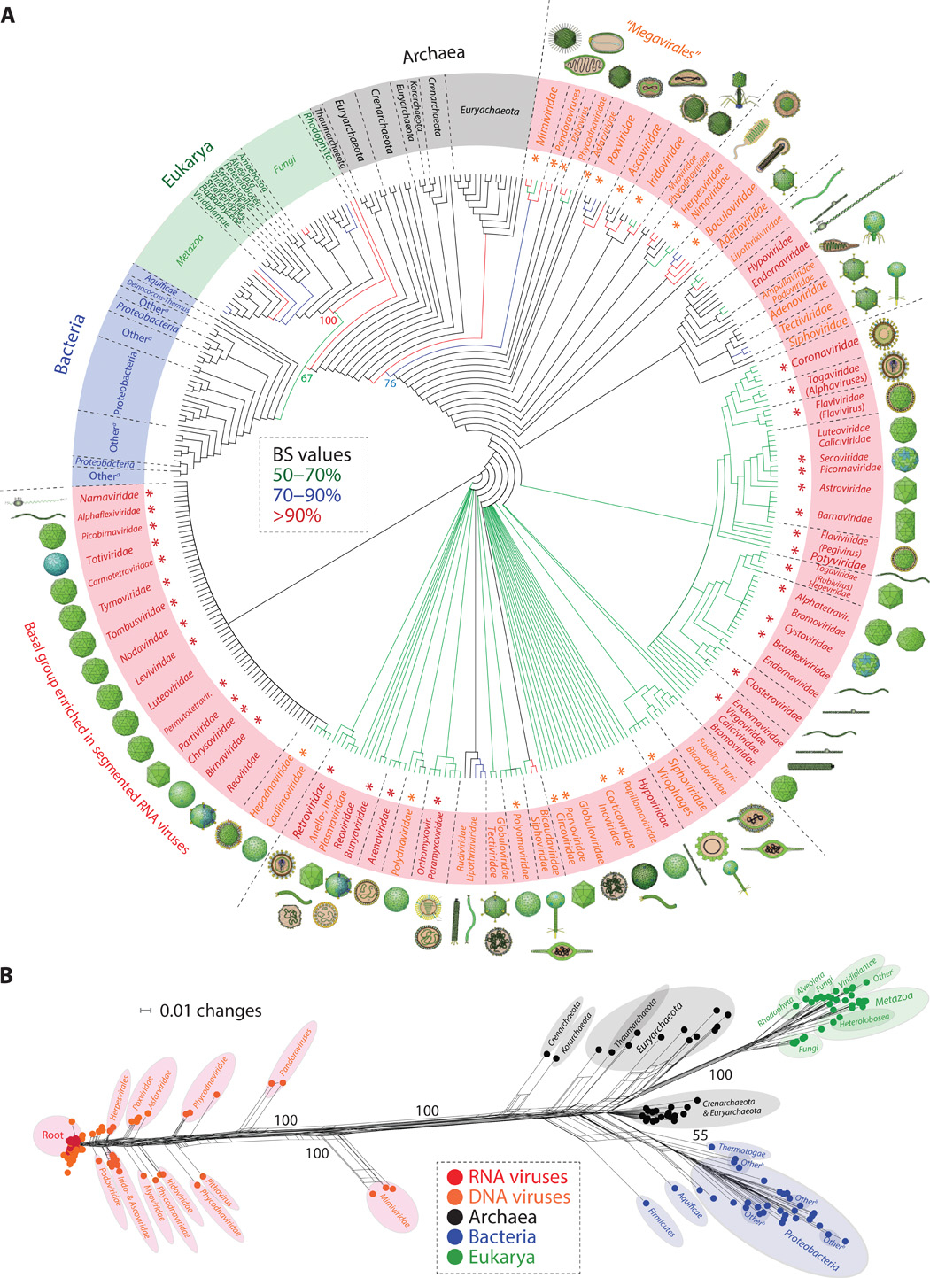 Bacteria And Virus Venn Diagram A Phylogenomic Data Driven Exploration Of Viral Origins And