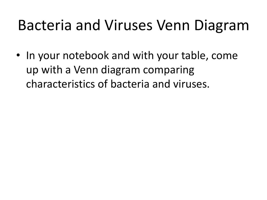 Bacteria And Virus Venn Diagram Archaea Bacteria And Viruses Ppt Download