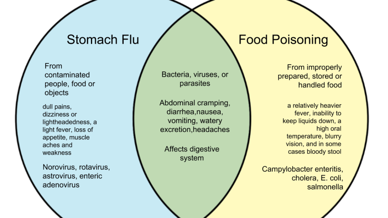 Bacteria And Virus Venn Diagram Difference Between Food Poisoning And Stomach Flu Whyunlike