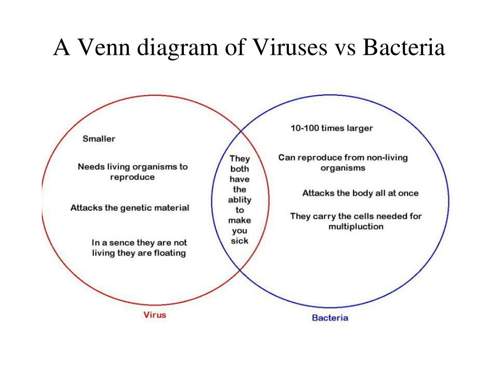 Bacteria And Virus Venn Diagram Ppt Bacteria Viruses Powerpoint Presentation Id2216292