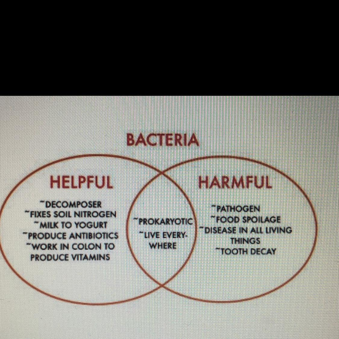 Bacteria And Virus Venn Diagram The Venn Diagram Details Some Of The Helpful And Harmful Effects Of