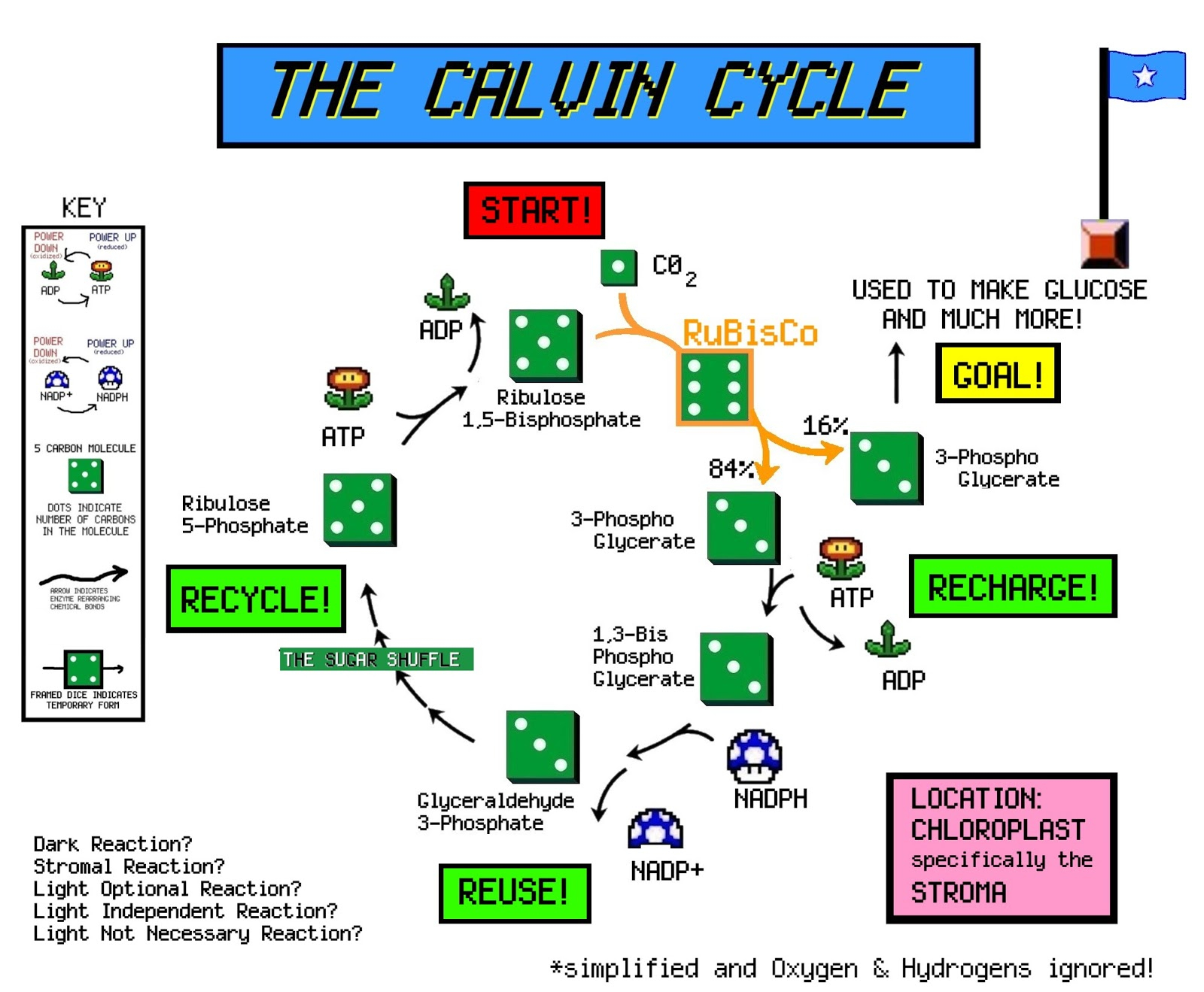 Calvin Cycle Diagram The Voice Of Vexillology Flags Heraldry The Calvin Cycle Flag