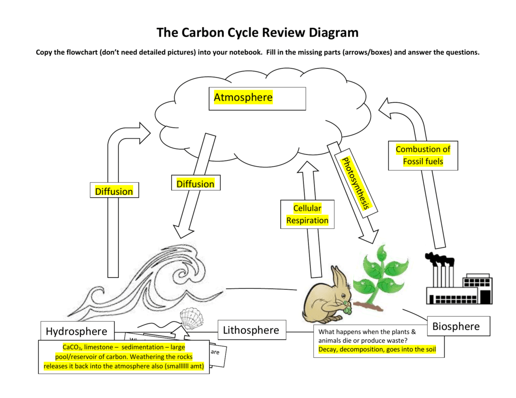 Carbon Cycle Diagram Carbon Cycle Review Diagram