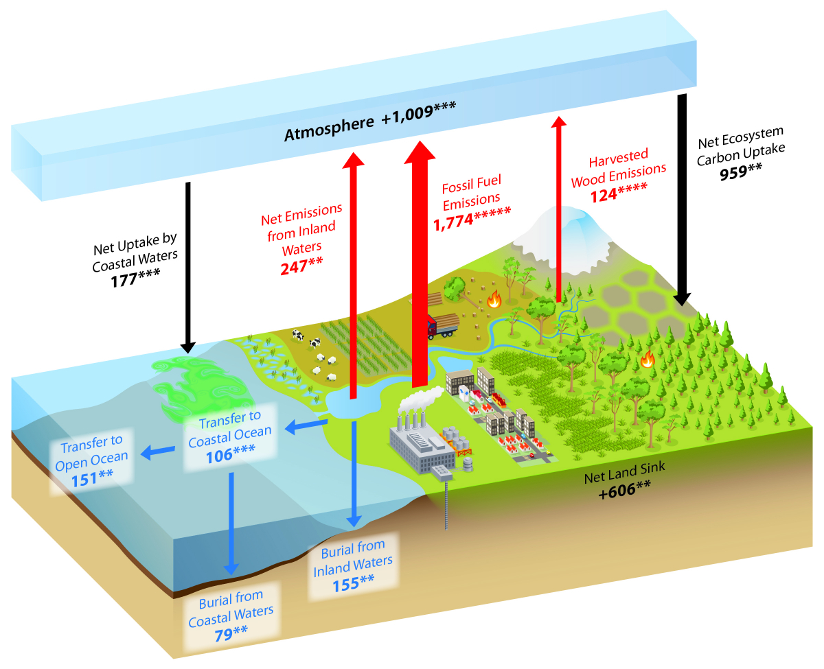 Carbon Cycle Diagram What Is The Carbon Cycle What Is The Science Behind It United