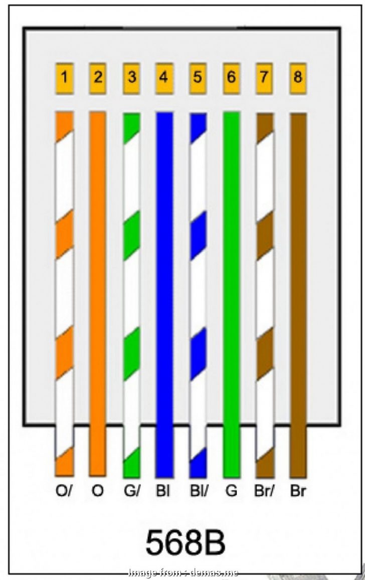 Cat5 Wiring Diagram - exatin.info