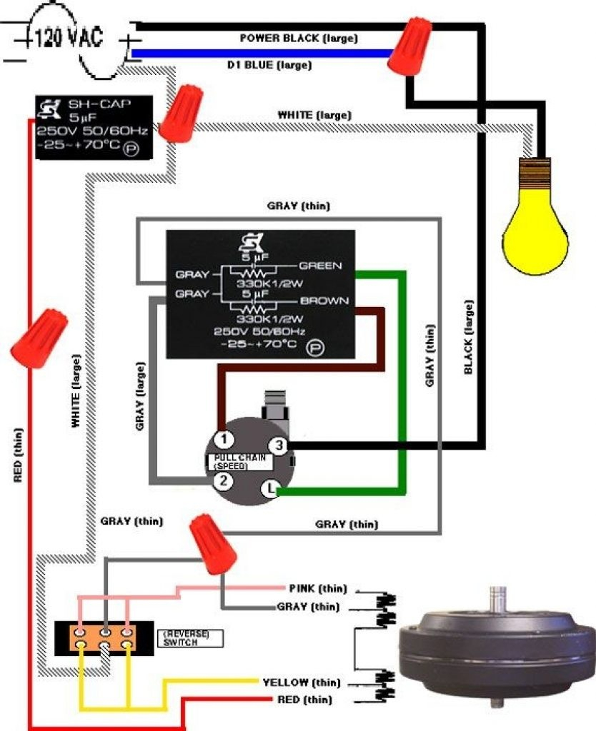 Ceiling Fan Pull Chain Light Switch Wiring Diagram Ceiling Fan Chain Switch Wiring Diagram Internal Wiring Diagram