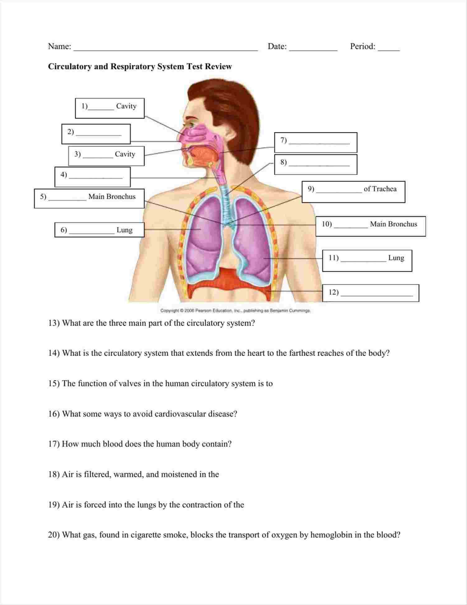 Circulatory System Diagram Major Parts Of Circulatory System Diagram Of Anatomy