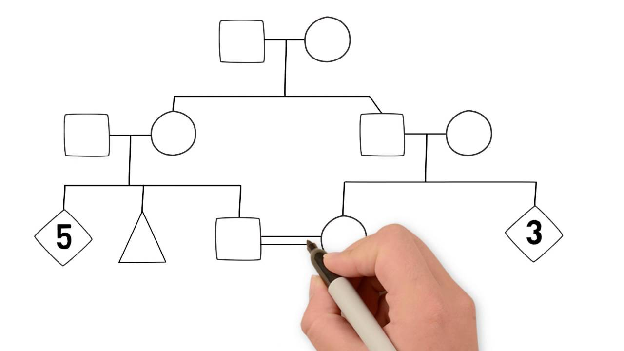 Create A Tree Diagram How To Draw A Family Tree Part 1 Introduction