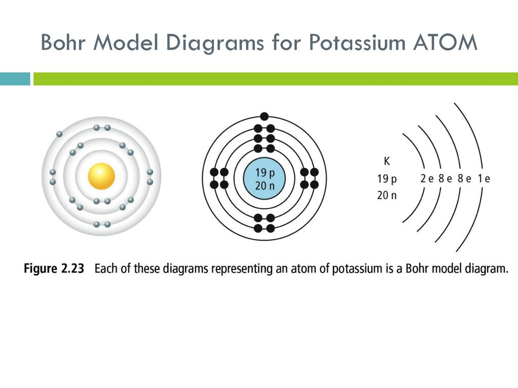 Diagram Of An Atom Potassium Atom Diagram Wiring Diagrams Home