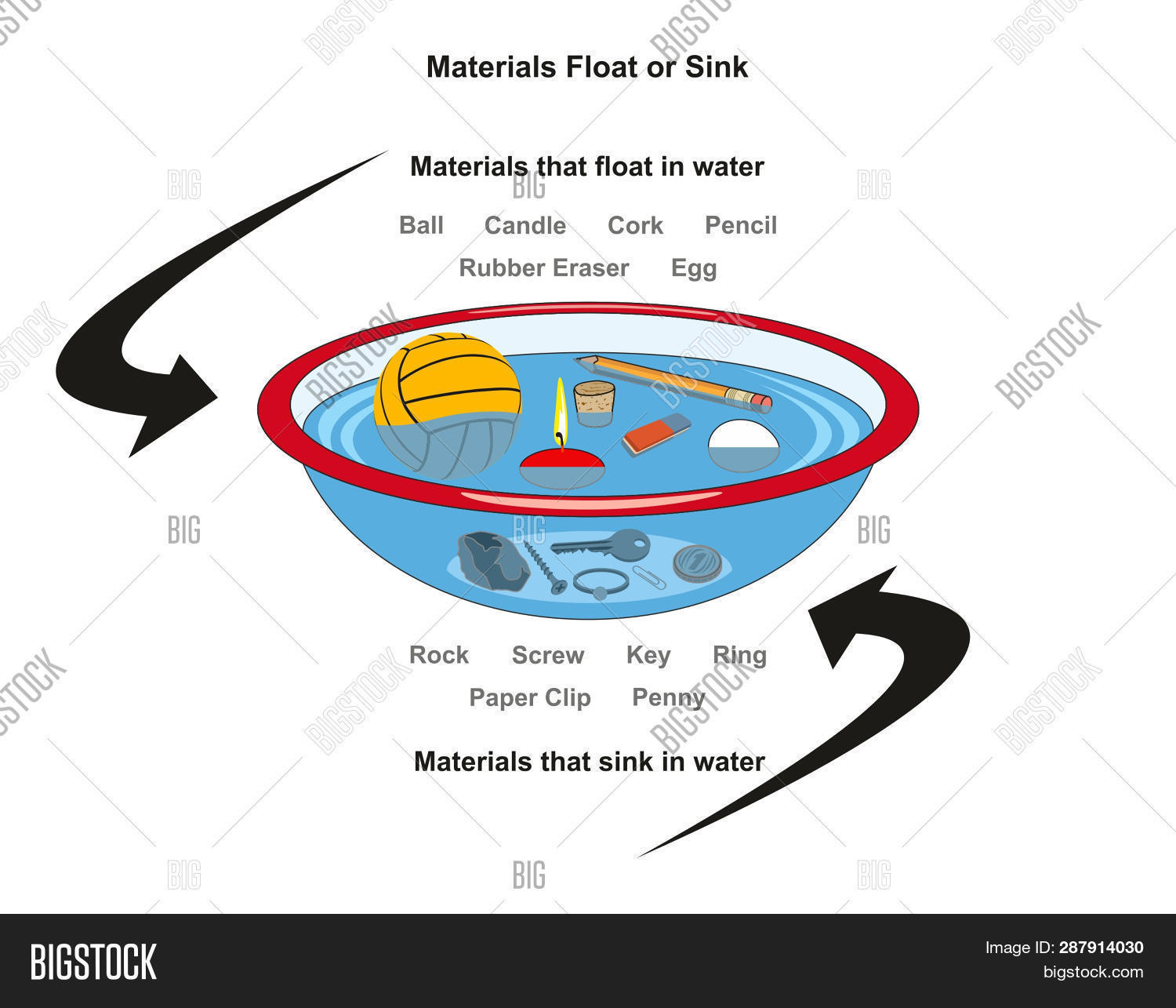 Diagram Of An Egg Materials Float Sink Image Photo Free Trial Bigstock