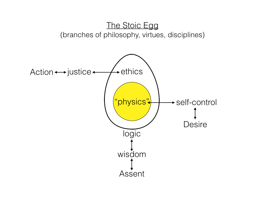 Diagram Of An Egg The Stoic Egg Scientia Salon