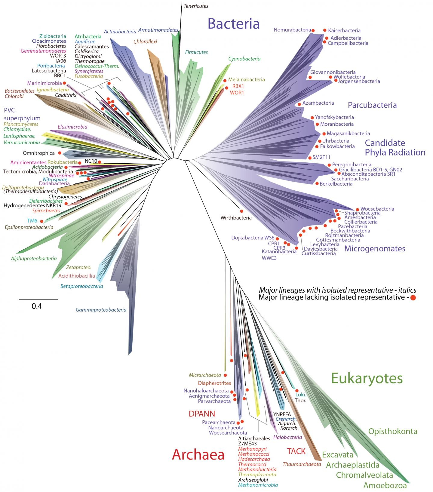 Diagram Of Bacteria Almost 23 Of Earths Biodiversity Is Bacteria Mnn Mother Nature