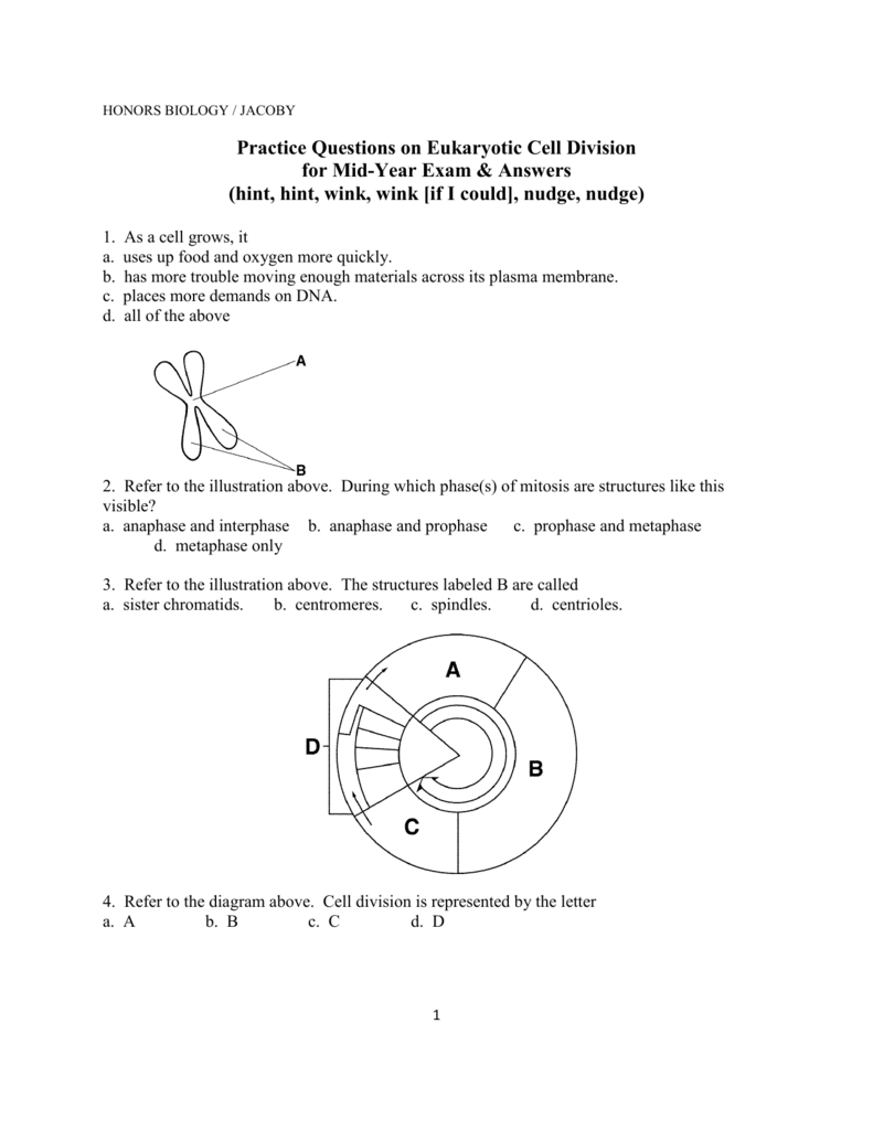 Diagram Of Cell Cycle Practice Questions On Euk Cell Cycle For Mid Year