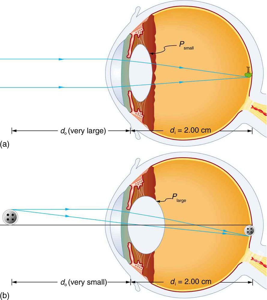 Diagram Of Eye Physics Of The Eye Physics