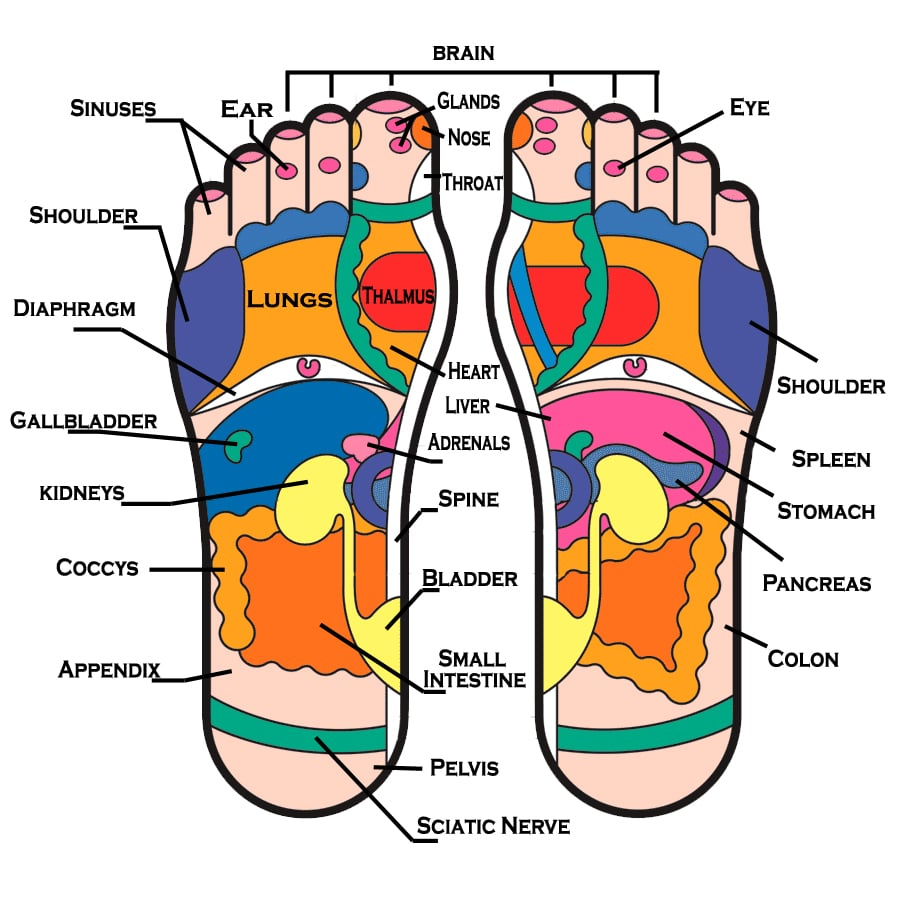 Diagram Of Foot Feet Diagram Yelp