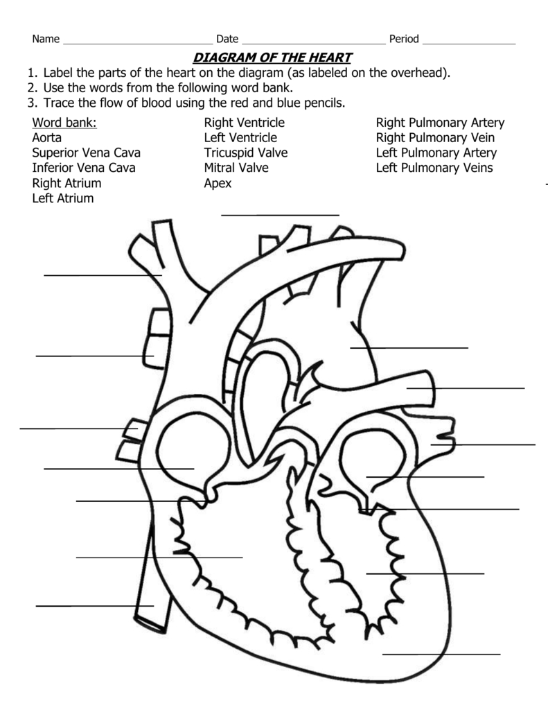 Diagram Of Heart Diagram Of The Heart