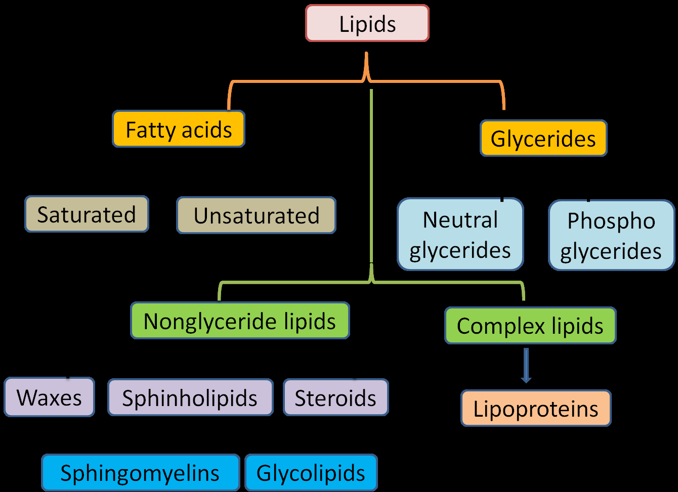 Diagram Of Lipids Biochemistry Notes Classification Of Lipids Differences Between
