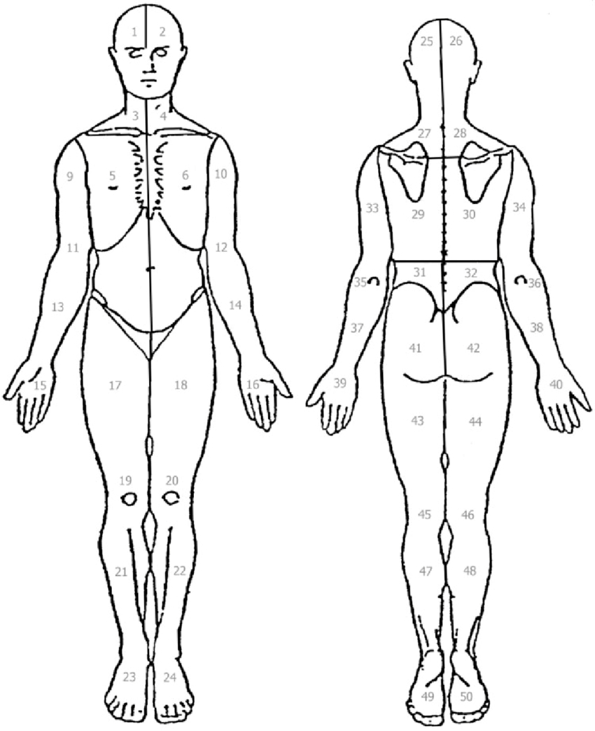 Diagram Of The Human Body Human Body Pain Diagram Wiring Diagram Library