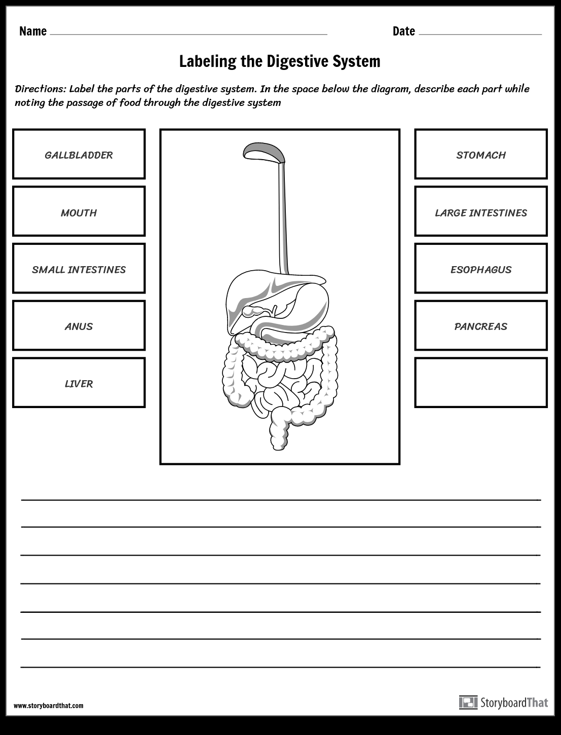 Digestive System Diagram Worksheet Digestive System Worksheet Storyboard Kristen