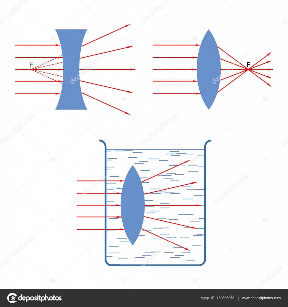 Diverging Lens Diagram Throw In A Collecting Rays Diverging Lens Stock Vector