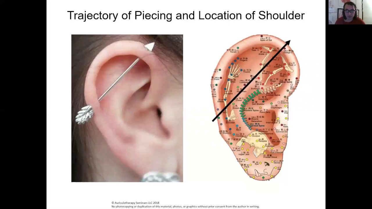 Ear Piercing Diagram Ear Acupuncture And Ear Piercings