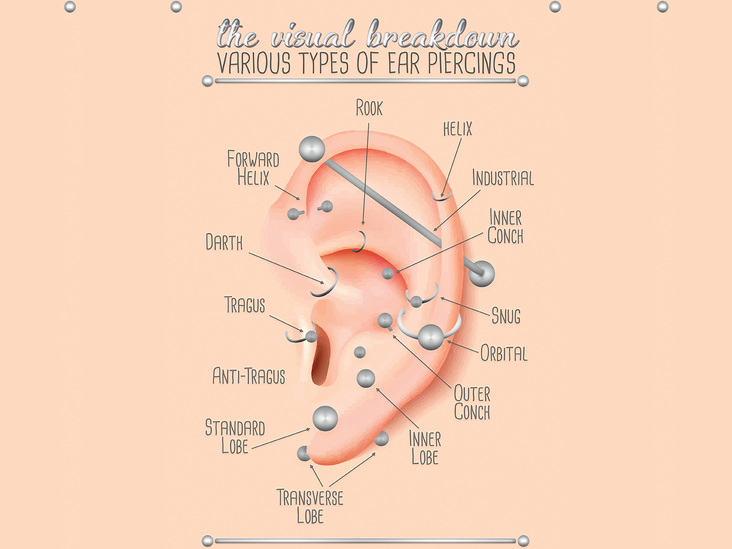 Ear Piercing Diagram Ear Piercing Illustration Jarrod Vandenberg On Dribbble