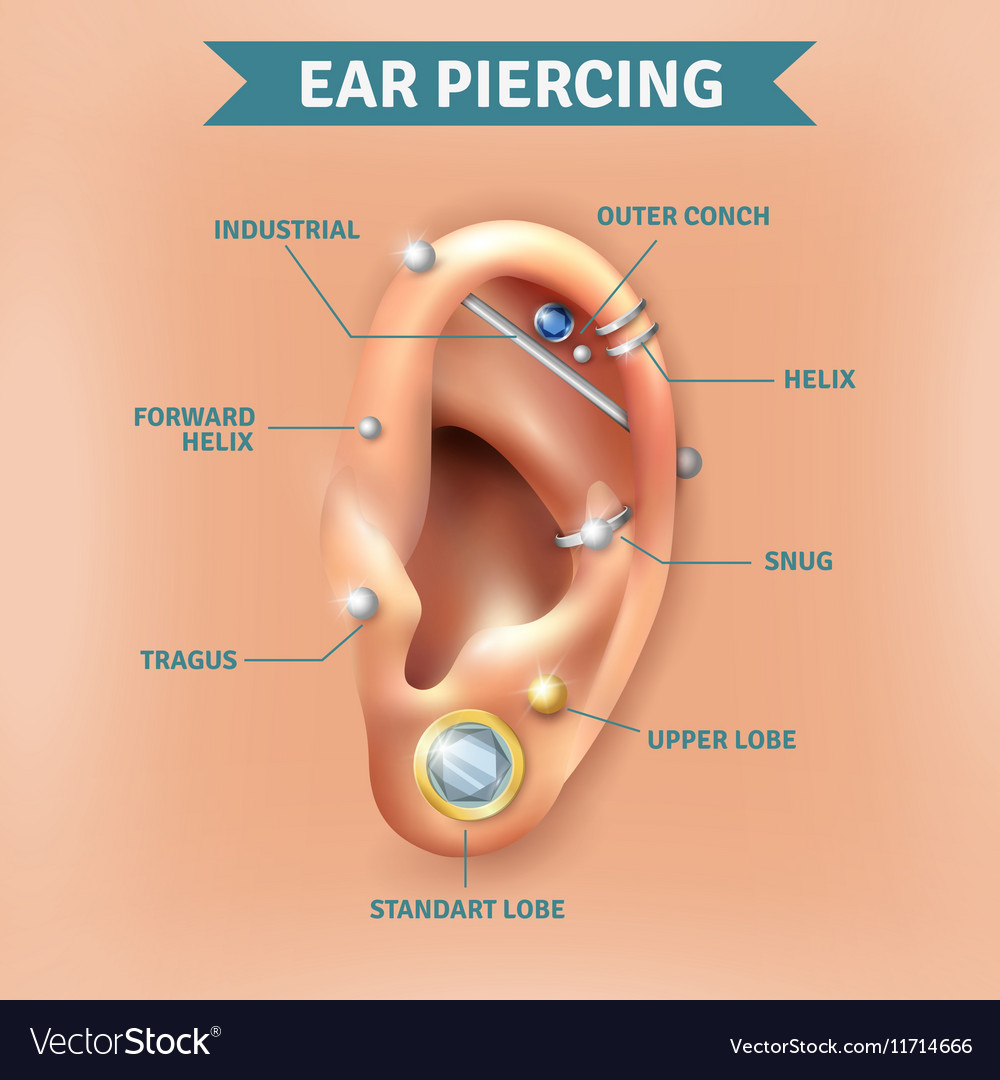 Ear Piercing Diagram Ear Piercing Types Positions Background Poster