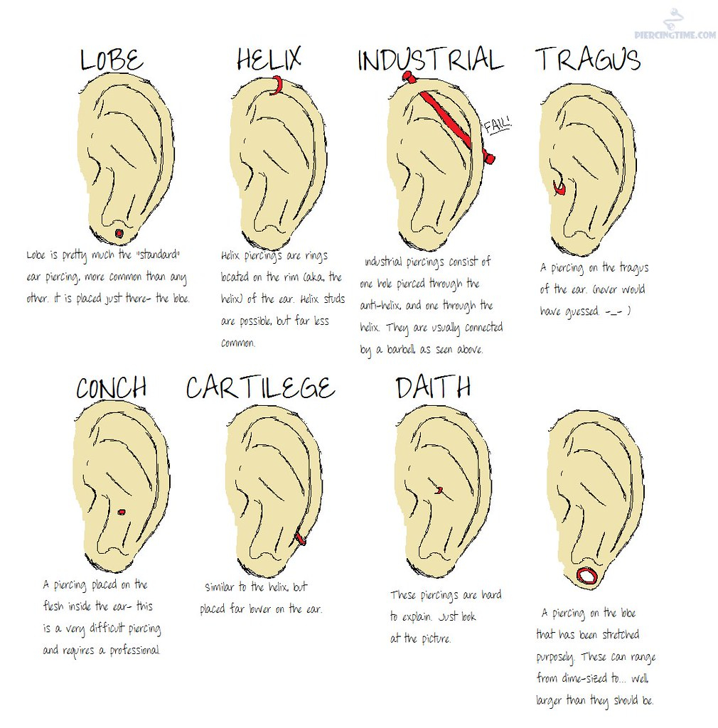 Ear Piercing Diagram Facial Piercings Chart Face Piercing Chart Ear Piercing Di Flickr