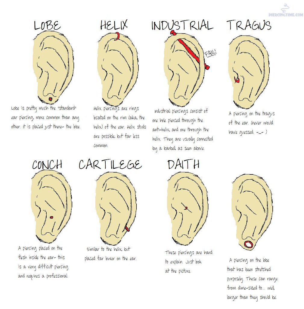 Ear Piercing Diagram Exatin info