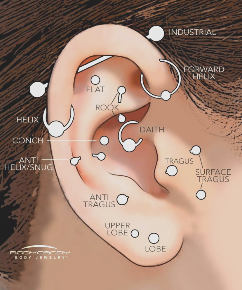 Ear Piercing Diagram Never Underestimate The Influence Of Ear Chart Information