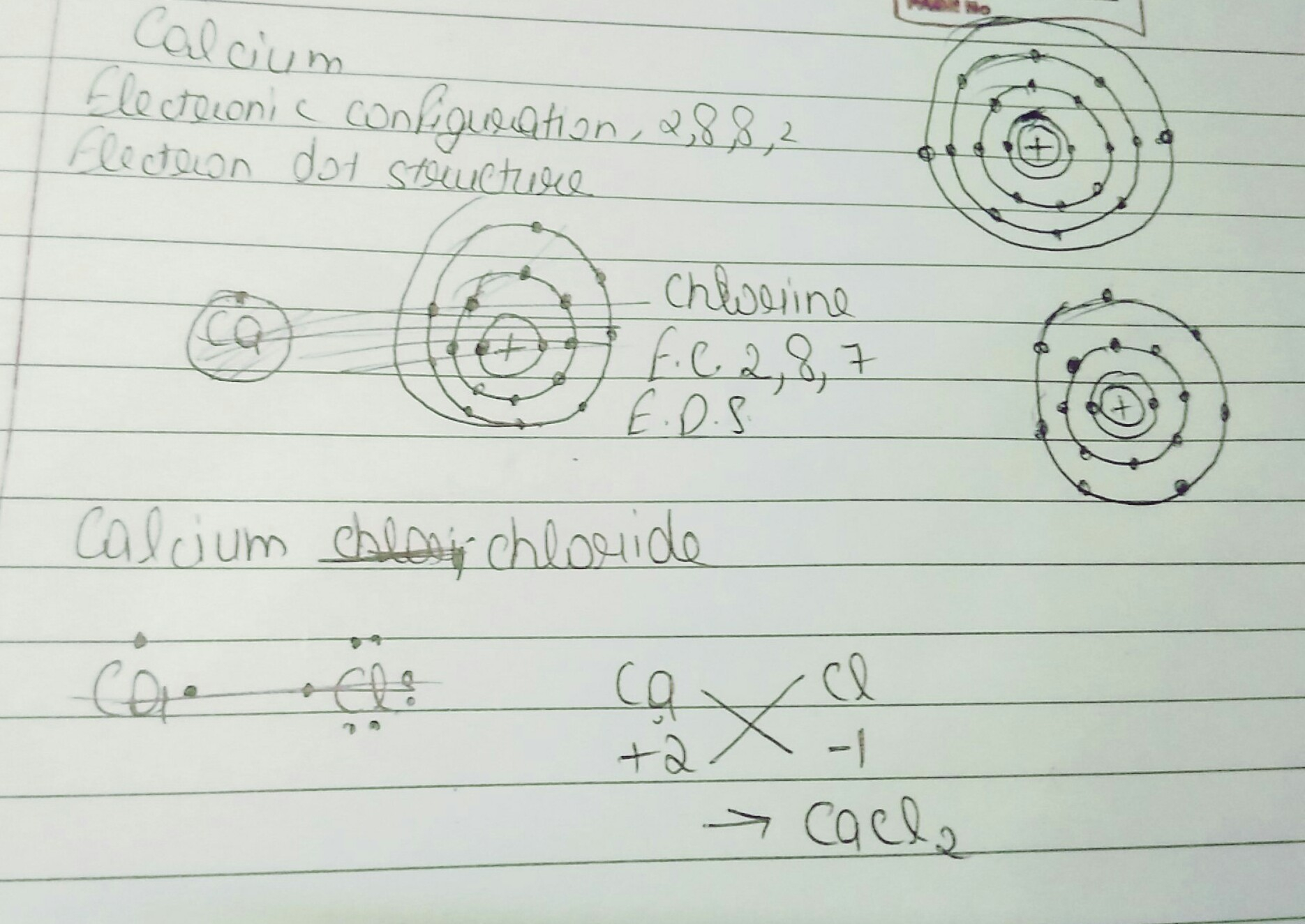 Electron Dot Diagram For Chlorine Write Electron Dot Structure For Chlorine At No 17and Calcium