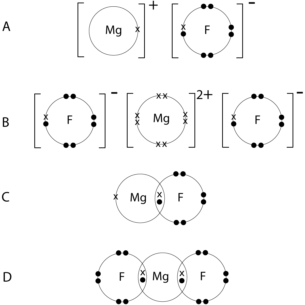 Fluorine Dot Diagram Gradegorilla Chemistry