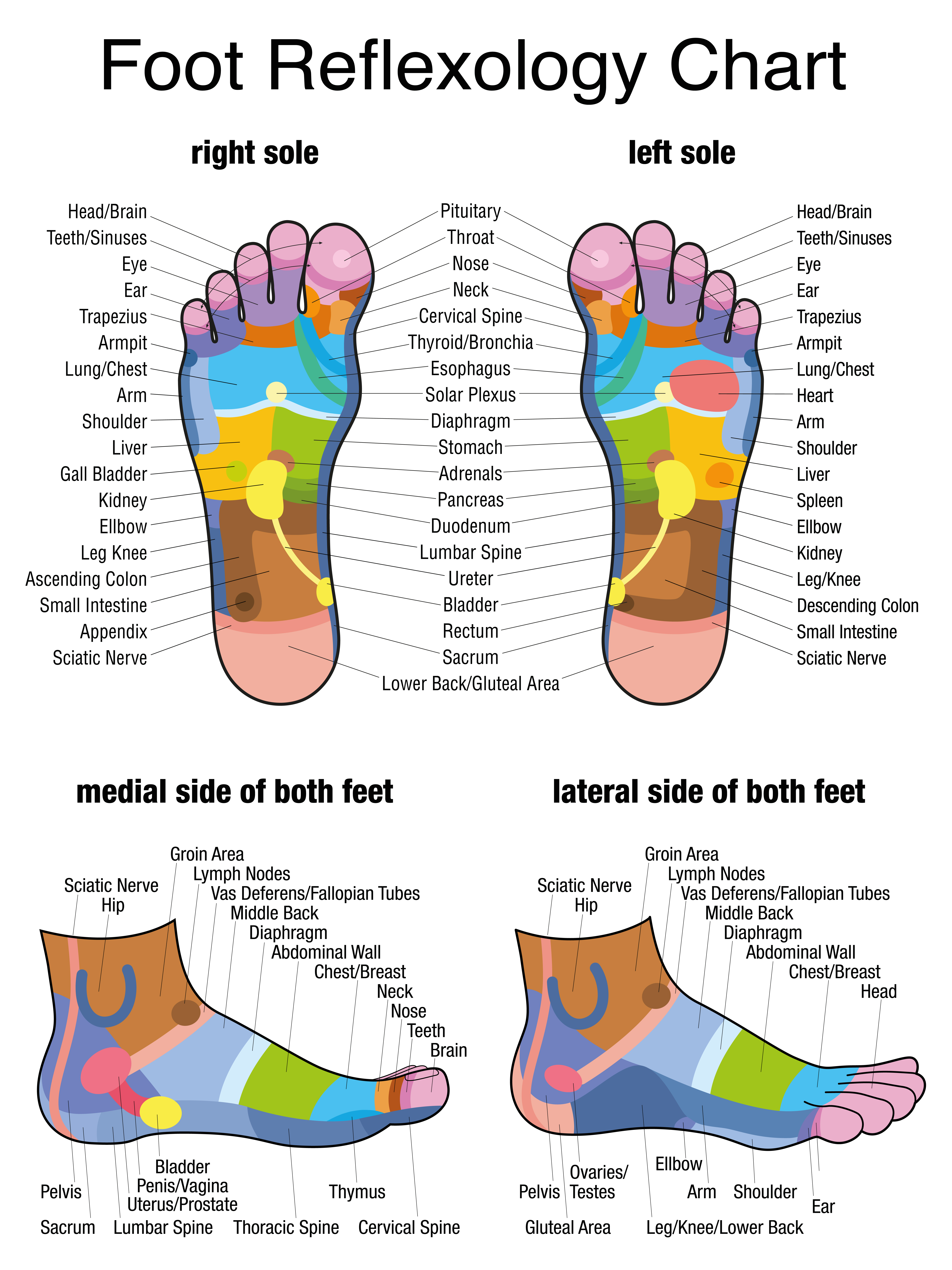 Foot Pain Diagram 46 Exhaustive Reflexology For Insomnia Chart